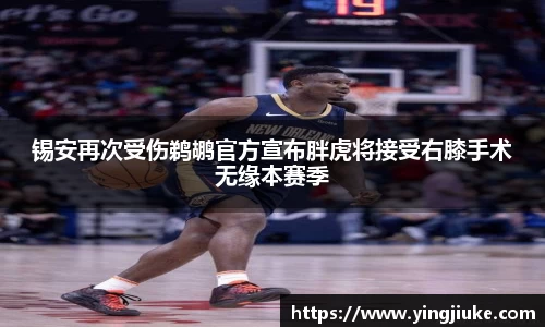 乐鱼体育APP