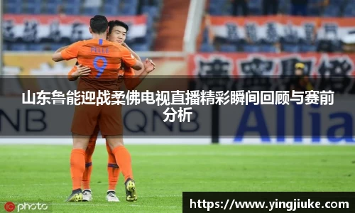 乐鱼体育平台